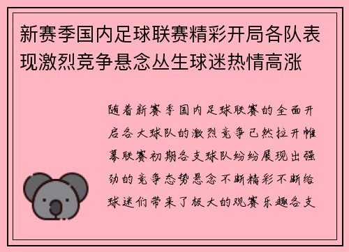 新赛季国内足球联赛精彩开局各队表现激烈竞争悬念丛生球迷热情高涨